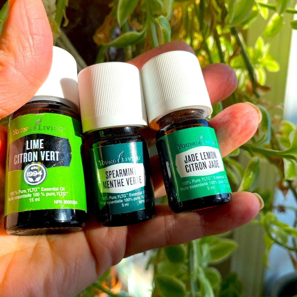 “Minty Fresh” Diffuser Oils (3 Essential Oils)